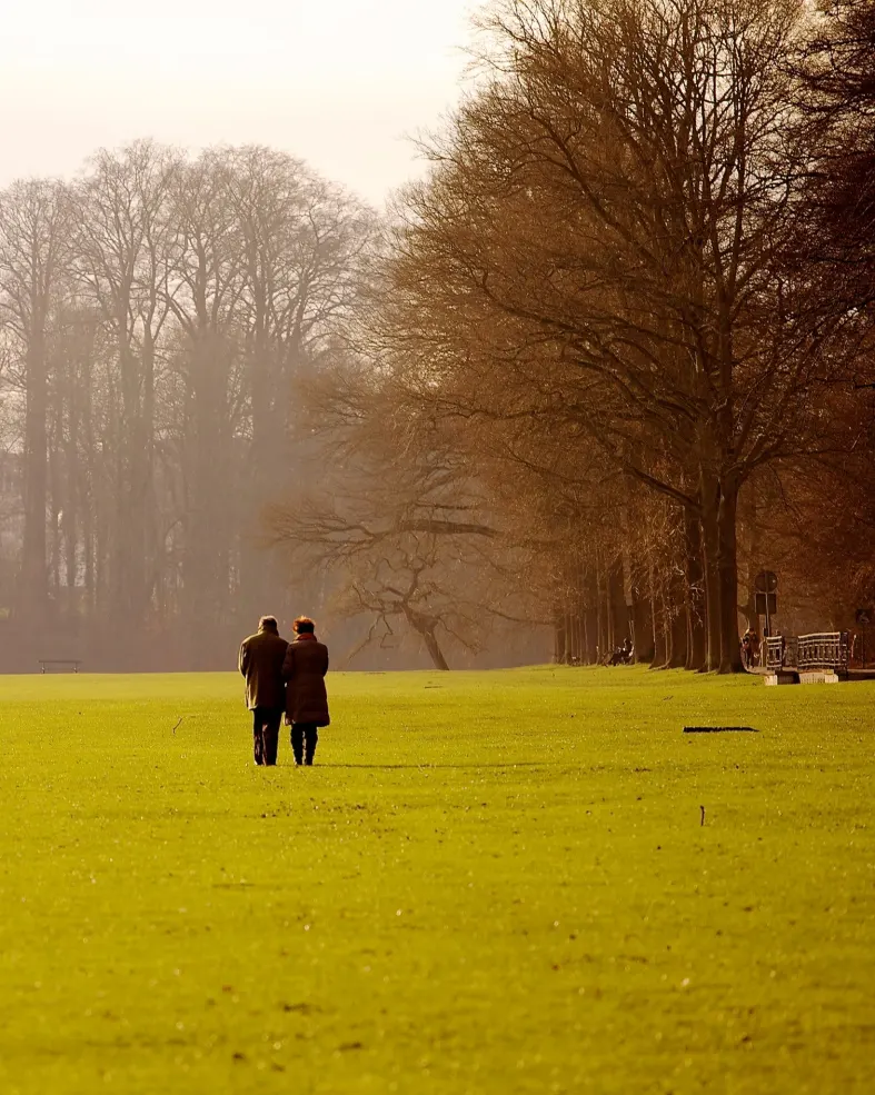 Two people walking together across a wide green lawn beside a row of bare autumn trees in soft hazy sunlight; warm golden tones and gentle shadows